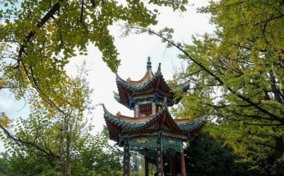 复工复业稳步推进  昆明文旅在复苏！