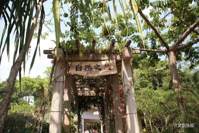 西双版纳植物园“自然之兰”兰花展将于10日开展