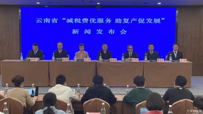 云南出台多项税费优惠政策  234项税（费）可网上办理 