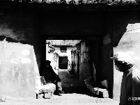 图集 | 游走