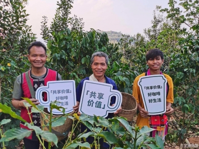 助云南咖农过上好生活 星巴克启动咖啡产业扶贫二期（普洱）项目
