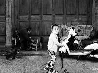 图集 | 游走