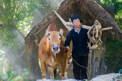 “天下第一高峰牛汤锅”在广南开锅，约吗？
