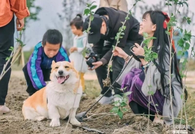 @“铲屎官”  大理水花庄园亲子萌宠欢乐派对周末开“趴”