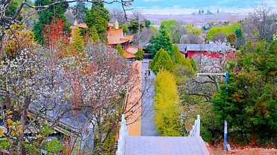 图集｜探寻丽江郊外春景