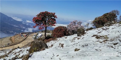别样“雪里红”  轿子雪山景正美