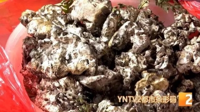 惊了！昆明干巴菌上市，3000元/公斤！吃货：打扰了打扰了…