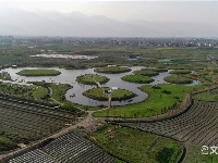 图集 | 水花庄园 大理旅游新兴地