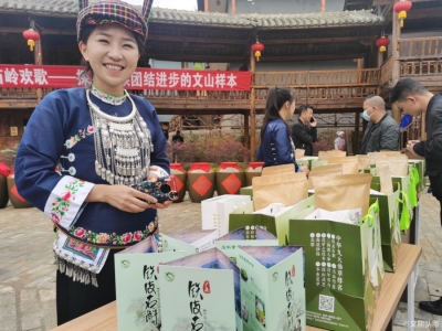 “壮乡和韵·苗岭欢歌” 全国媒体深度体验文山行今日启动