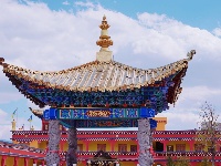 图集｜探寻丽江郊外春景