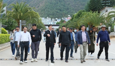 大滇西旅游环线课题组专家“把脉” 玉溪文化旅游产业建设