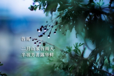 谷雨：布谷啼播春暮日，栽插种管事诸多（图）