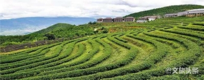 临沧市上半年旅游收入超103亿！文化旅游工作取得阶段性成效 