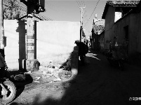 图集 | 游走