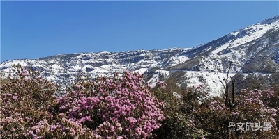 别样“雪里红”  轿子雪山景正美