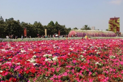 “五一”假期，云南哪里好玩？新鲜出炉的攻略奉上~