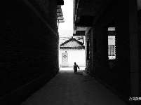 图集 | 游走