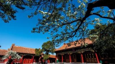 故宫五月一日即将有序开放 景区设安全间距严格执行实名制预约制度