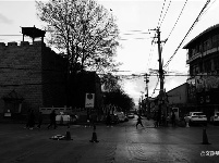 图集 | 游走