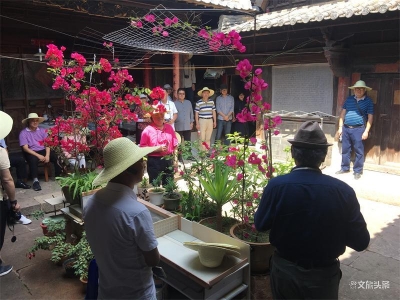 玉溪市文物保护工作取得新成效