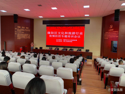 保山市隆阳区：提升文旅企业技能 增强应对疫情能力