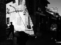图集 | 游走