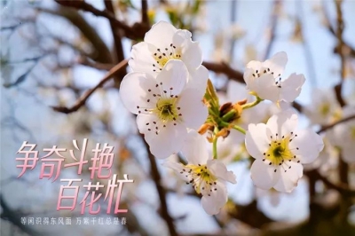 云南“飞花令”来了，诸君接招吧！【组图】