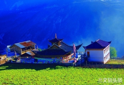 【云游迪庆】观满山杜鹃花海 人少景美不扎堆