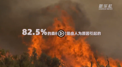 视频 | 森林防火 你我共同的责任