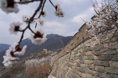 “价格敏感性”的旅客正在向“安全敏感性”转变！中国旅游业应对疫情挑战探索转型升级 
