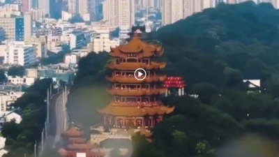 视频 | 武汉涅槃