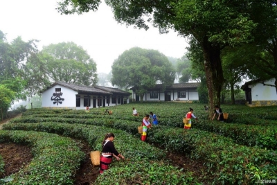 好玩划算！普洱市部分A级景区“五一”活动及优惠措施出炉