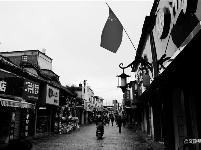 图集 | 游走