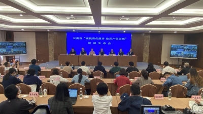 3月份云南12万户小规模纳税人使用1%征收率开具发票