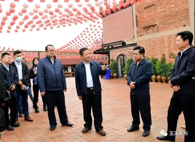 玉溪市市委书记罗应光赴红塔区专题调研文化旅游产业