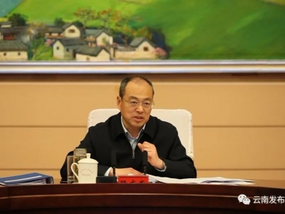 阮成发：坚决打好森林草原防灭火攻坚战和境外疫情输入防控阻击战 全力保障人民群众生命健康和财产安全