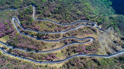 图集 | 蓝天映花微风熏 轿子山上花路俏