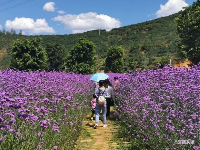 五一假期第三天 红河州景区迎来复开后首个小高峰