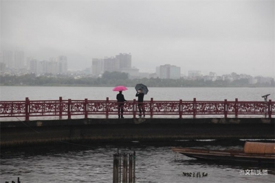 花更艳树更绿  雨中的大理别有一番韵味
