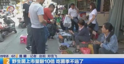 吃货们有福啦！云南野生菌价格要降啦！原因是…