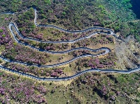 图集 | 蓝天映花微风熏 轿子山上花路俏
