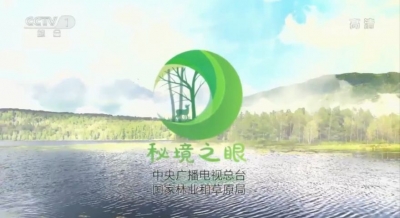 央视《秘境之眼》精彩影像评选结果揭晓！保山两“动物明星”获奖！