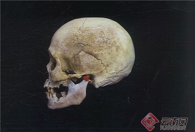 我国学者首次通过古DNA测序揭示昭通“僰人”悬棺葬人群族属古代百越后裔一支