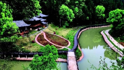 旅游冷启动观察