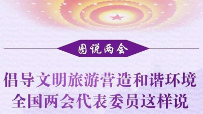 图说两会 | 倡导文明旅游，代表委员作表率