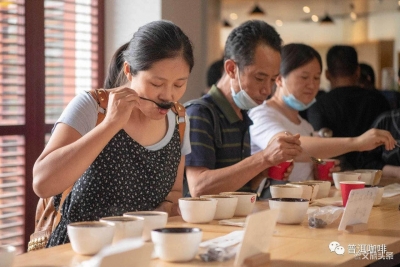 “我为云南咖啡代言”，2020第五届云南咖啡生豆大赛开始啦！