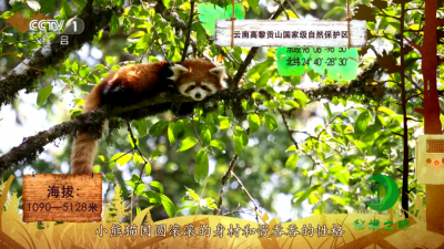 央视《秘境之眼》精彩影像评选结果揭晓！保山两“动物明星”获奖！