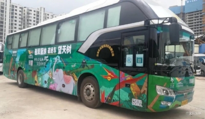 5月30日起西双版纳望天树景区开通直通车