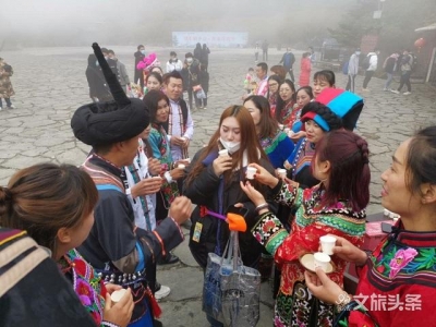 昆明轿子山“花鸟节”今日启动，游客赏杜鹃花、拍火尾鸟不亦乐乎！