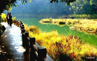 【图说普洱】普洱湿地：万绿竞斗奇艳 天地生机盎然